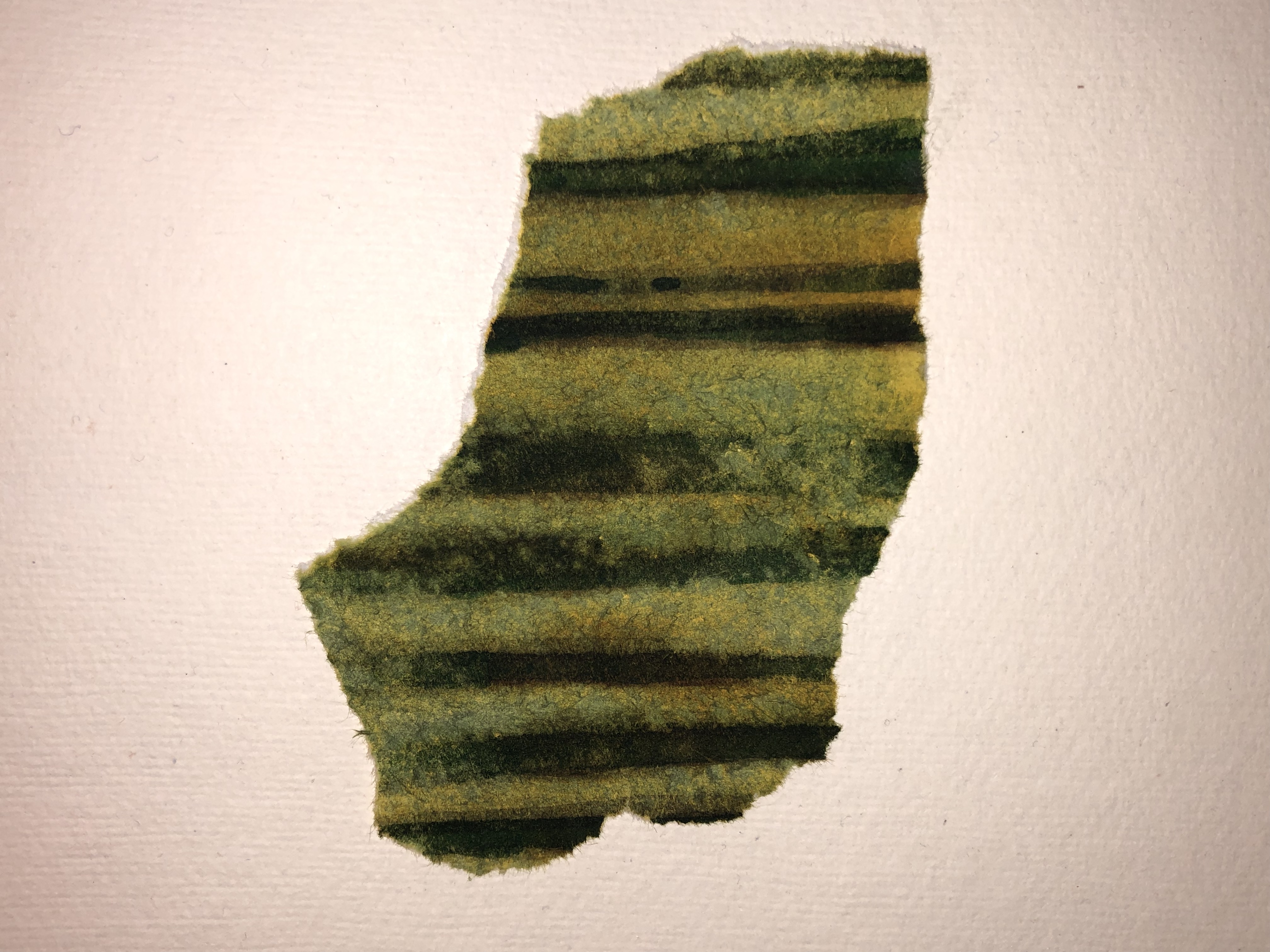 Fragment de forêt - Série de 16 dessins déchirés, encre de couleur, fusain, sur papier 17x20 cm